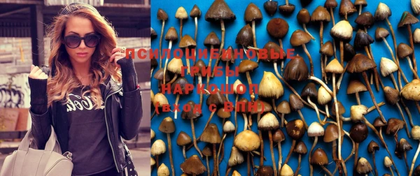 соль курить ск Алексин